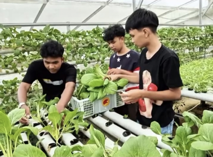 green school & agroteknologi